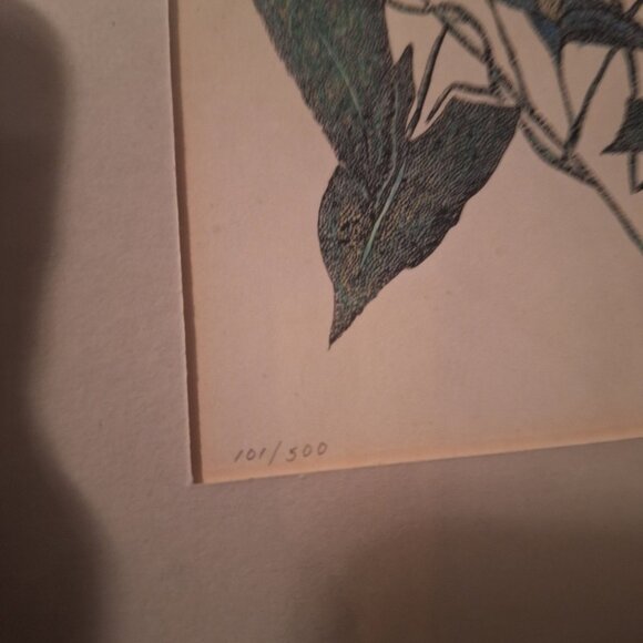 Annarae‎ Anderson Limited Edition Hummingbird Flowers Framed Artwork 101 of 500 - Picture 3 of 6